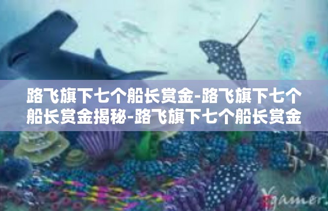 路飞旗下七个船长赏金-路飞旗下七个船长赏金揭秘-路飞旗下七个船长赏金