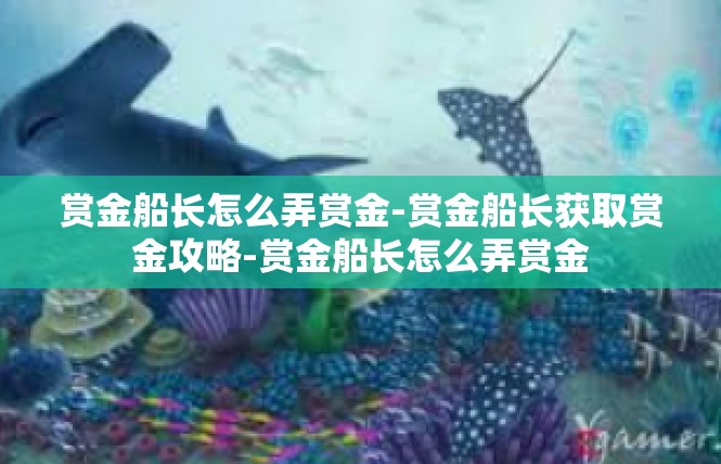 赏金船长怎么弄赏金-赏金船长获取赏金攻略-赏金船长怎么弄赏金