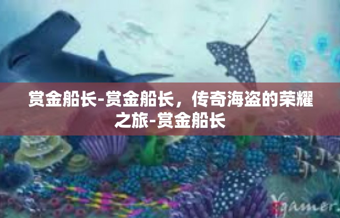赏金船长-赏金船长，传奇海盗的荣耀之旅-赏金船长
