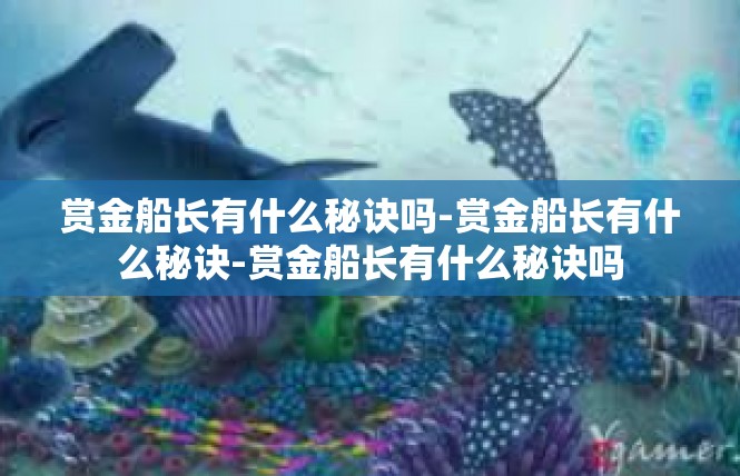 赏金船长有什么秘诀吗-赏金船长有什么秘诀-赏金船长有什么秘诀吗