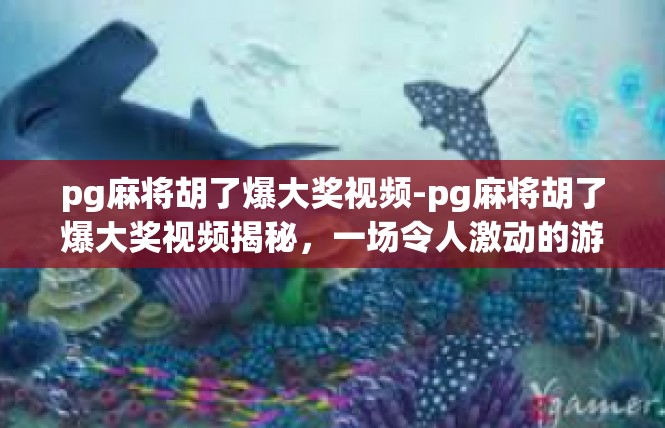 pg麻将胡了爆大奖视频-pg麻将胡了爆大奖视频揭秘，一场令人激动的游戏体验-pg麻将胡了爆大奖视频