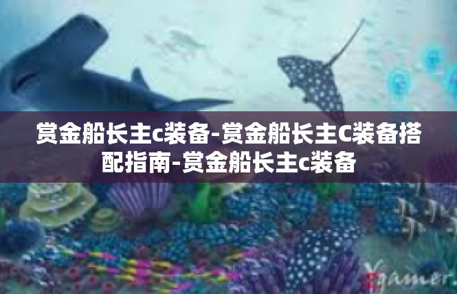 赏金船长主c装备-赏金船长主C装备搭配指南-赏金船长主c装备