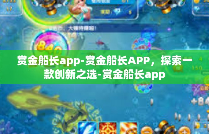 赏金船长app-赏金船长APP，探索一款创新之选-赏金船长app