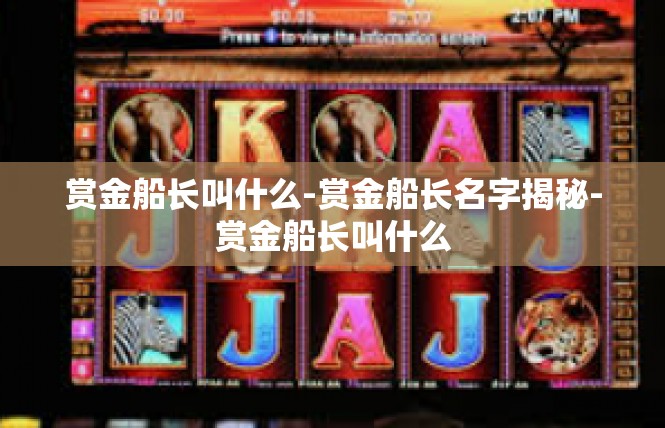 赏金船长叫什么-赏金船长名字揭秘-赏金船长叫什么