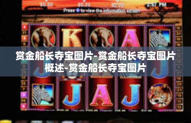 赏金船长夺宝图片-赏金船长夺宝图片概述-赏金船长夺宝图片