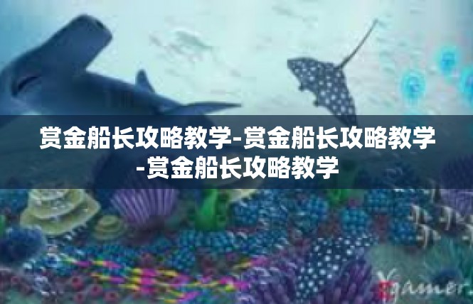 赏金船长攻略教学-赏金船长攻略教学-赏金船长攻略教学