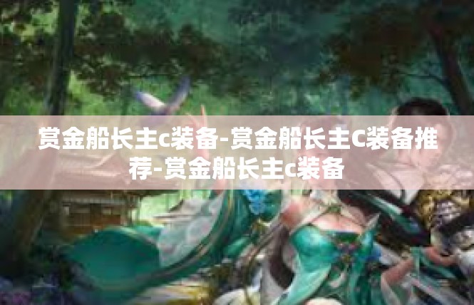 赏金船长主c装备-赏金船长主C装备推荐-赏金船长主c装备